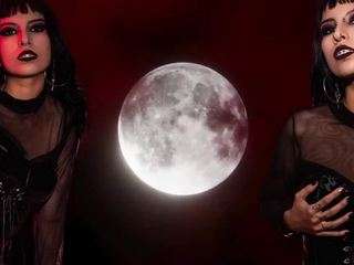 Salome-sweett